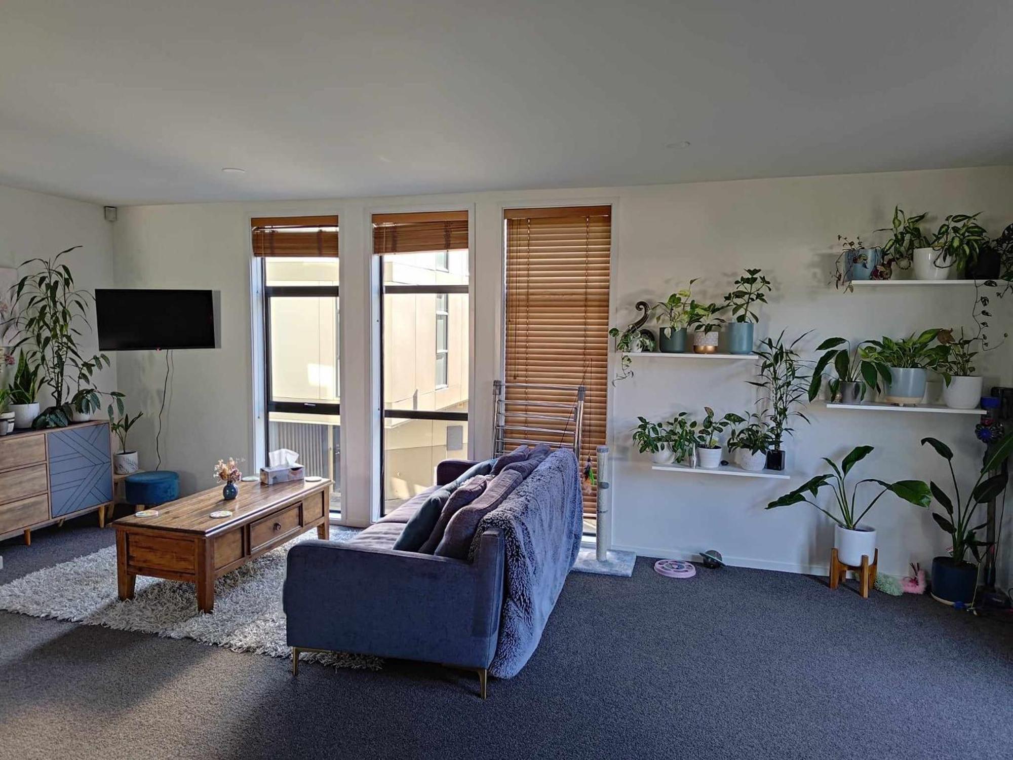 City Stay Christchurch Buitenkant foto